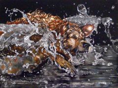 Judith Edwards-White - Intense Concentration