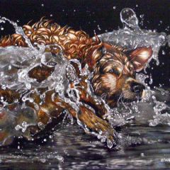 Judith Edwards-White - Intense Concentration