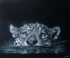In Memory: Lesley Barrett - Crossing the Pantanal