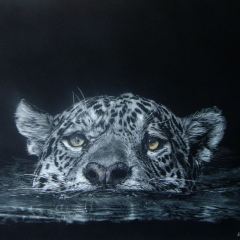 In Memory: Lesley Barrett - Crossing the Pantanal