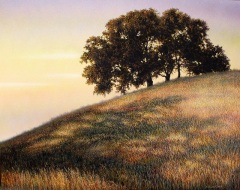 Linda Heath Clark - Shadows and Hues