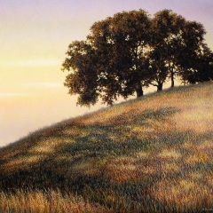 Linda Heath Clark - Shadows and Hues