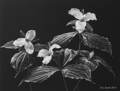 Lori Dunn - The Silence of the Morning
