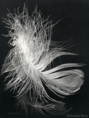 Rhonda Nass - Whisper on the Water