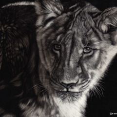 Patrick Hedges - Lion