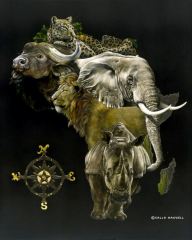 Sally Maxwell - Big 5 Out of Africa