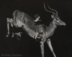 Amy Stauffer - I Believe I Can Fly