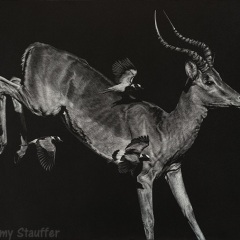 Amy Stauffer - I Believe I Can Fly