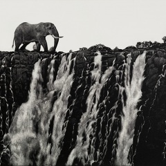 Amy Stauffer - Land of the Giants