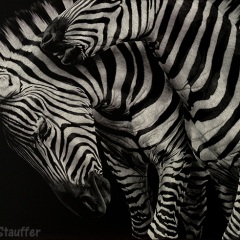 Amy Stauffer - Mixed Signals