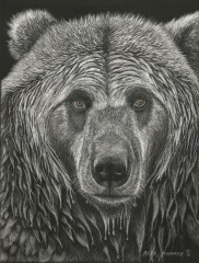 Alex Murray - Grizzled