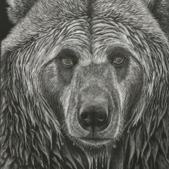 Alex Murray - Grizzled