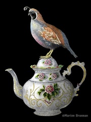 Marion Brennan - Cuppa Dearie