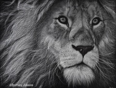 Brittany Johnson - Aslan