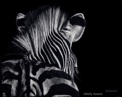 Holly Cannon - A View from Behind