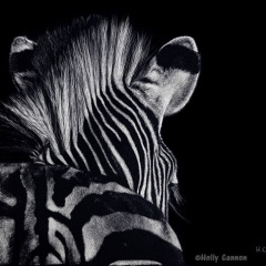 Holly Cannon - A View from Behind