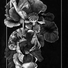 Martha Cannon - Elegance