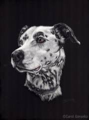 Carol Gorenko - Cooper