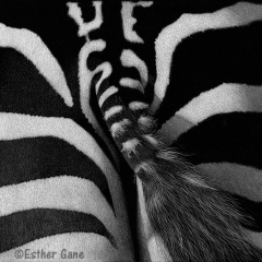 Esther Gane - Swish