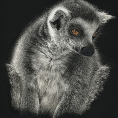 Geraldine Simmons - Pensive