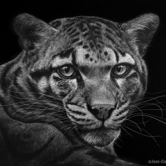 Jean-Claude Grillet - Mesmerizing Soul