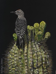 Sonja Jones - Almost in Bloom