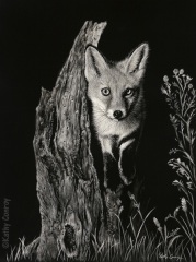 Kathy Conroy - Fox Kit