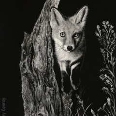 Kathy Conroy - Fox Kit