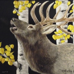 Kathy Conroy - Bugling Elk