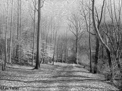Lee Farley - The Road Less Traveled