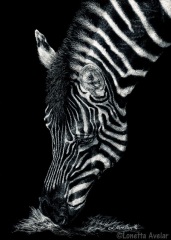 Lonetta Avelar - Grazing Stripes