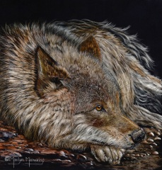 Marilyn Manwaring - Patience of a Wolf