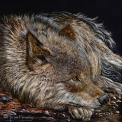 Marilyn Manwaring - Patience of a Wolf