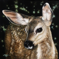 Monique Morin Matson - Gentle Awareness