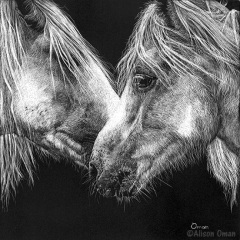 Alison Oman - Shades of Gray