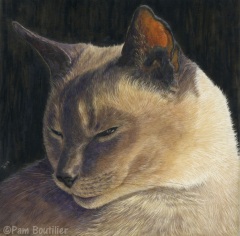 Pam Boutilier - Nessie