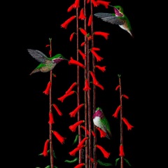 Patrice Plank - Calliopes Three