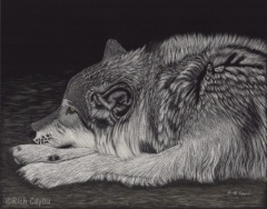 Richard Cayou - Just Watchin'