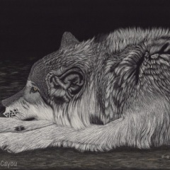 Richard Cayou - Just Watchin'
