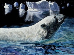 Rick Wheeler - The Long Swim
