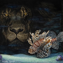 Sally Terrell - Family Resemblance
