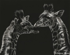 Shalese Sands - Serengeti Babies