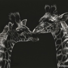 Shalese Sands - Serengeti Babies
