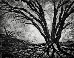 Sherron Sheppard - Strength in the Stillness