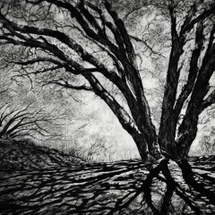 Sherron Sheppard - Strength in the Stillness