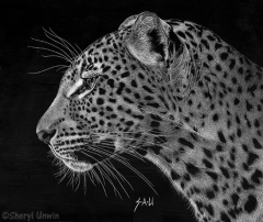 Sheryl Unwin - Spotted Solitude
