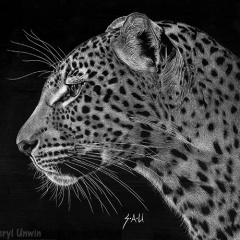 Sheryl Unwin - Spotted Solitude