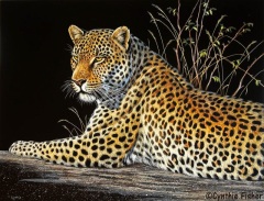 Cynthie Fisher - Golden Gaze