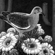 Susan Morris